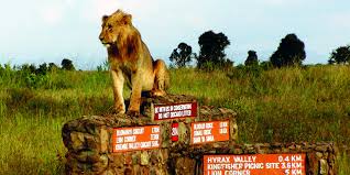 a pic of nairobi national park 